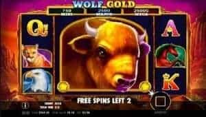 Wolf Gold spielen